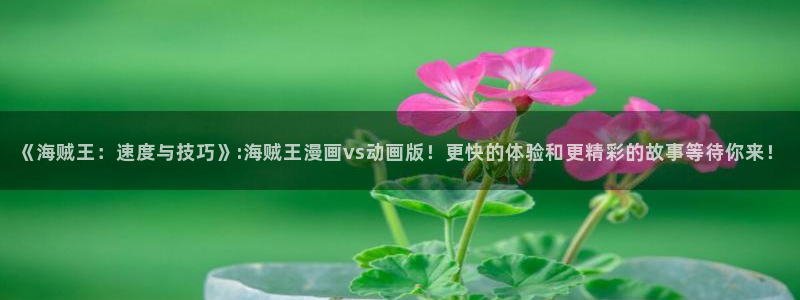 韩漫91漫画：《海贼王：速度与技巧》:海贼王漫画vs动画版！更快的体验和更精彩的故事等待你来！