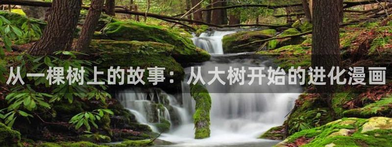 无删减韩漫在线免费观看：从一棵树上的故事：从大树开始的进化漫画