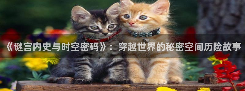 在线免费观看高清韩漫：《谜宫内史与时空密码》：穿越世界的秘密空间历险故事