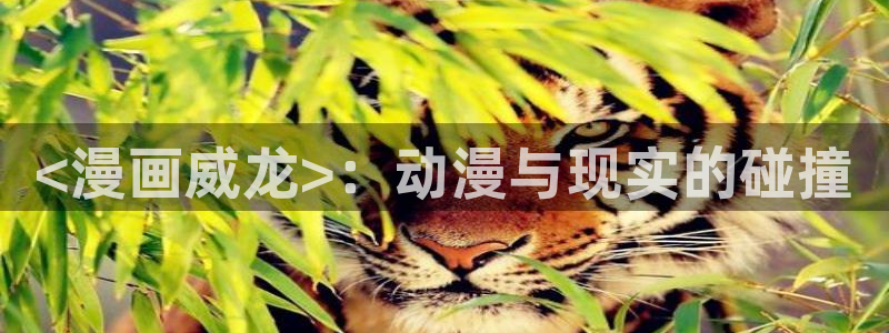 韩漫网站在线看免费在线：<漫画威龙>：动漫与现实的碰撞