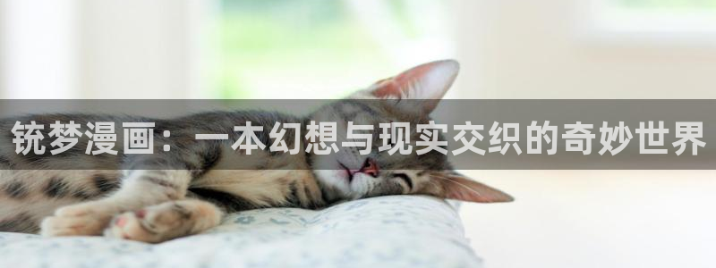 色韩漫网站：铳梦漫画：一本幻想与现实交织的奇妙世界