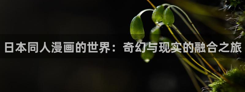 好看的韩漫汗汗漫画：日本同人漫画的世界：奇幻与现实的融合之旅