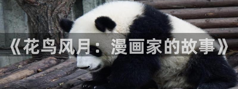 韩漫 免费：《花鸟风月：漫画家的故事》