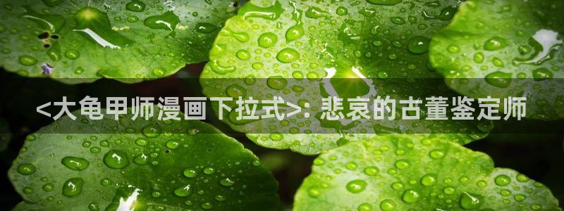 超级公务员韩漫画免费阅读：<大龟甲师漫画下拉式>: 悲哀的古董鉴定师
