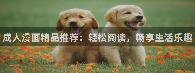韩漫 免费：成人漫画精品推荐：轻松阅读，畅享生活乐趣