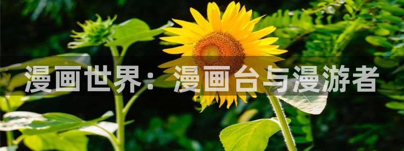 韩漫杀手锏漫画