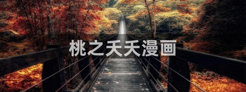 私宅女主人韩漫画