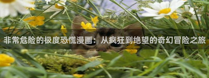 无删减免费看韩漫