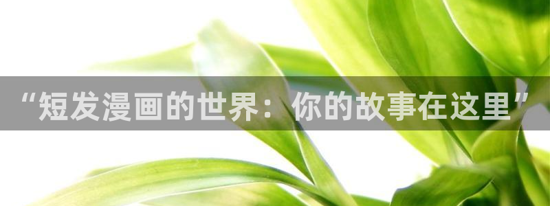 韩漫画书