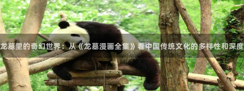 韩漫无遮挡免费观看：龙墓里的奇幻世界：从《龙墓漫画全集》看中国传统文化的多样性和深度