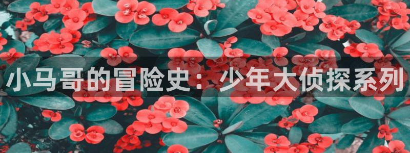 韩漫网址千金动漫：小马哥的冒险史：少年大侦探系列