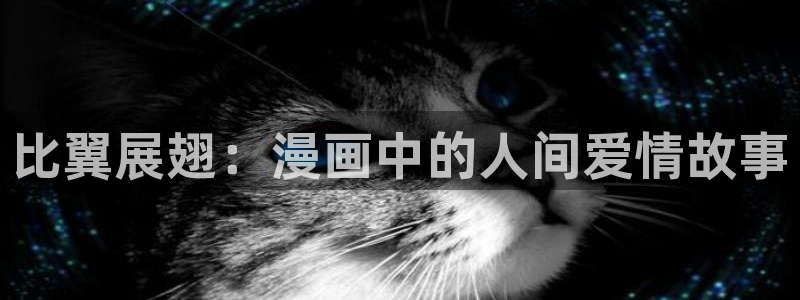 韩漫魔咒2漫画免费：比翼展翅：漫画中的人间爱情故事