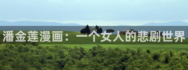 潘金莲漫画：一个女人的悲剧世界