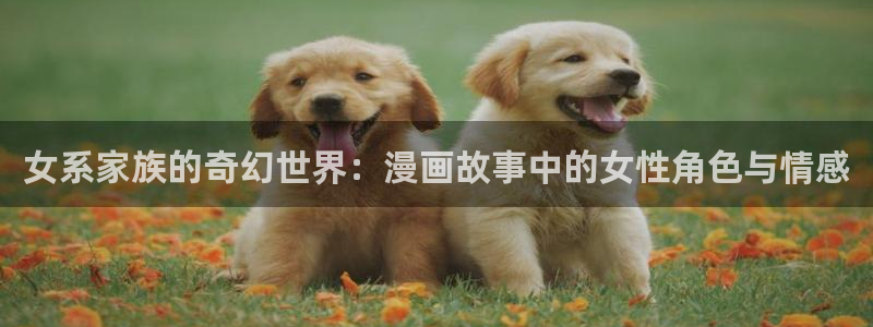 韩国动漫韩漫：女系家族的奇幻世界：漫画故事中的女性角色与情感