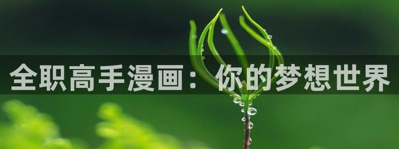 歪歪漫画韩漫网站：全职高手漫画：你的梦想世界