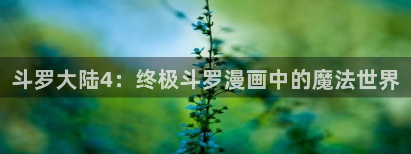 歪歪漫画 韩漫：斗罗大陆4：终极斗罗漫画中的魔法世界
